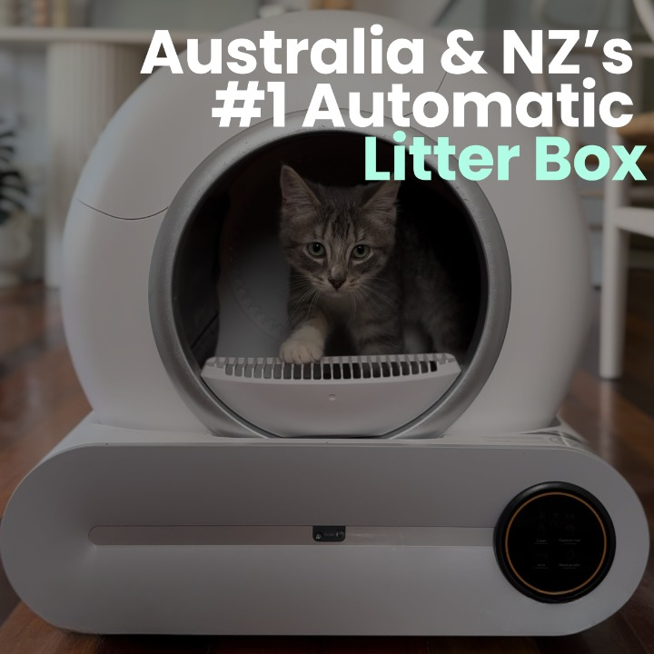 🐾 PurrSmart Litter