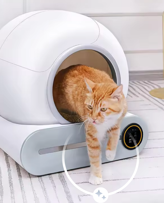 🐾 PurrSmart Litter