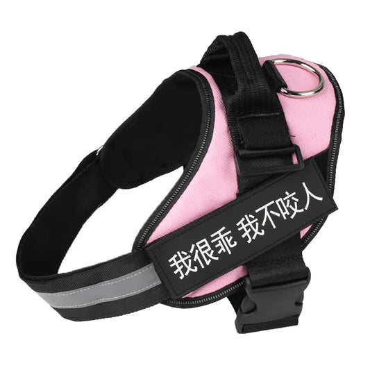 🐶 RegalFit™ Personalized Dog Harness