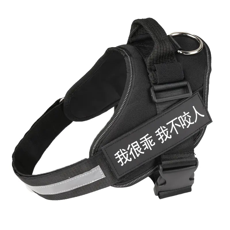 🐶 RegalFit™ Personalized Dog Harness