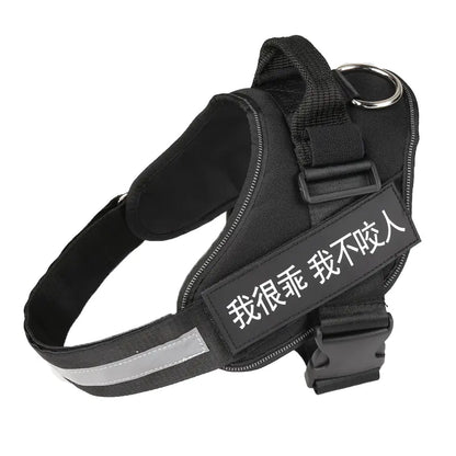 🐶 RegalFit™ Personalized Dog Harness