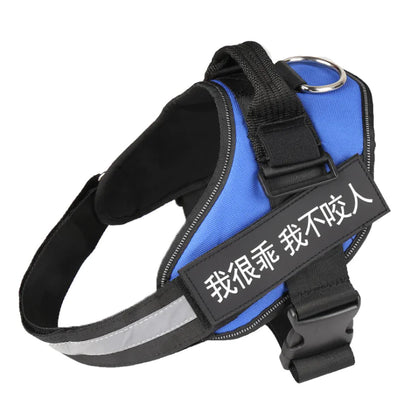 🐶 RegalFit™ Personalized Dog Harness