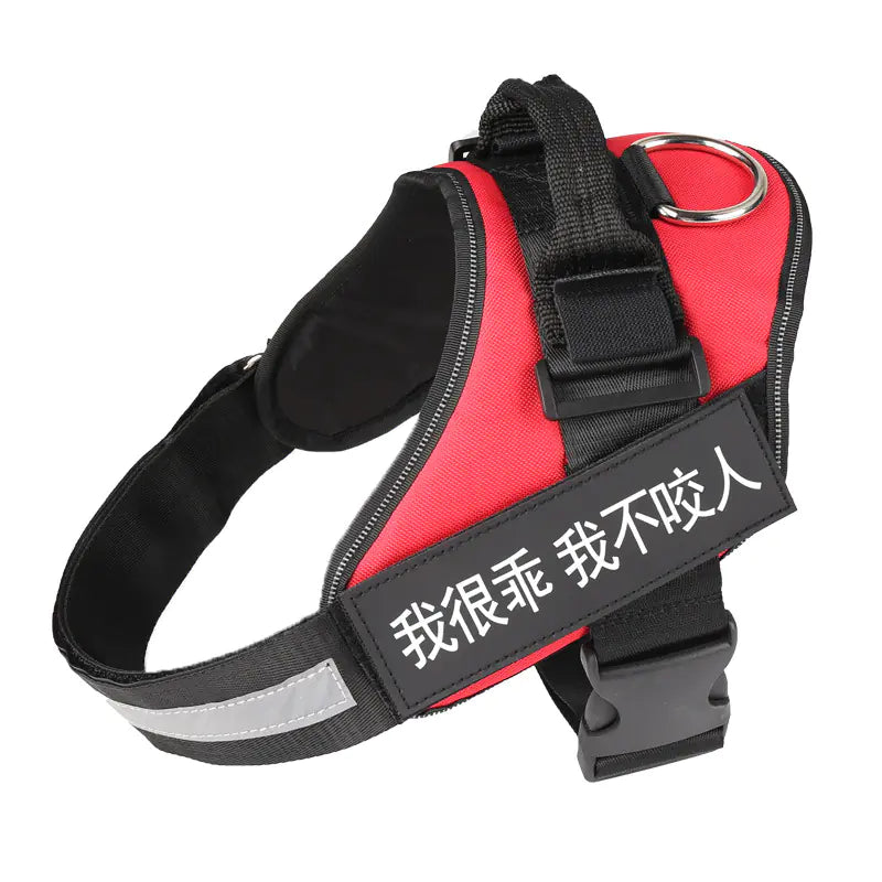 🐶 RegalFit™ Personalized Dog Harness